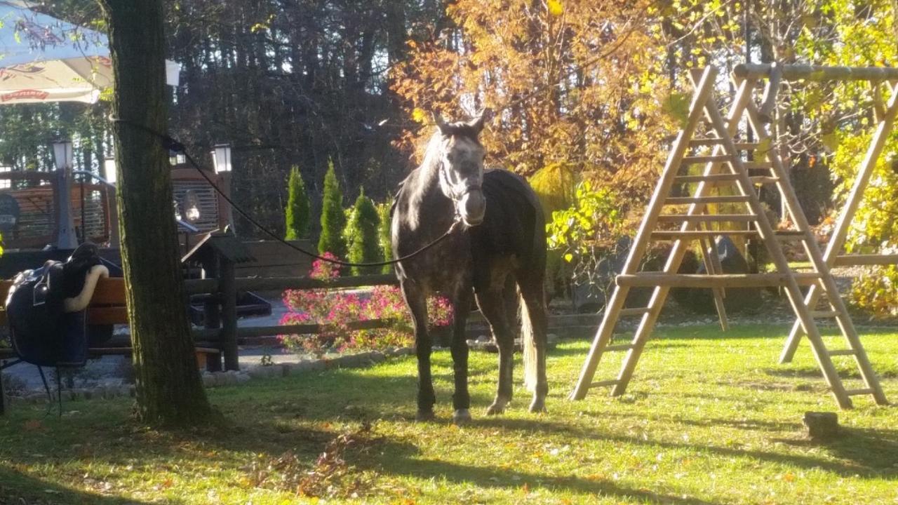Locanda Pod Niedzwiedziem